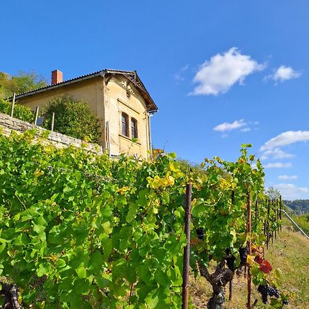 Ferienhaus Und Strausswirtschaft Im Weinberg Freyburg Luaran gambar