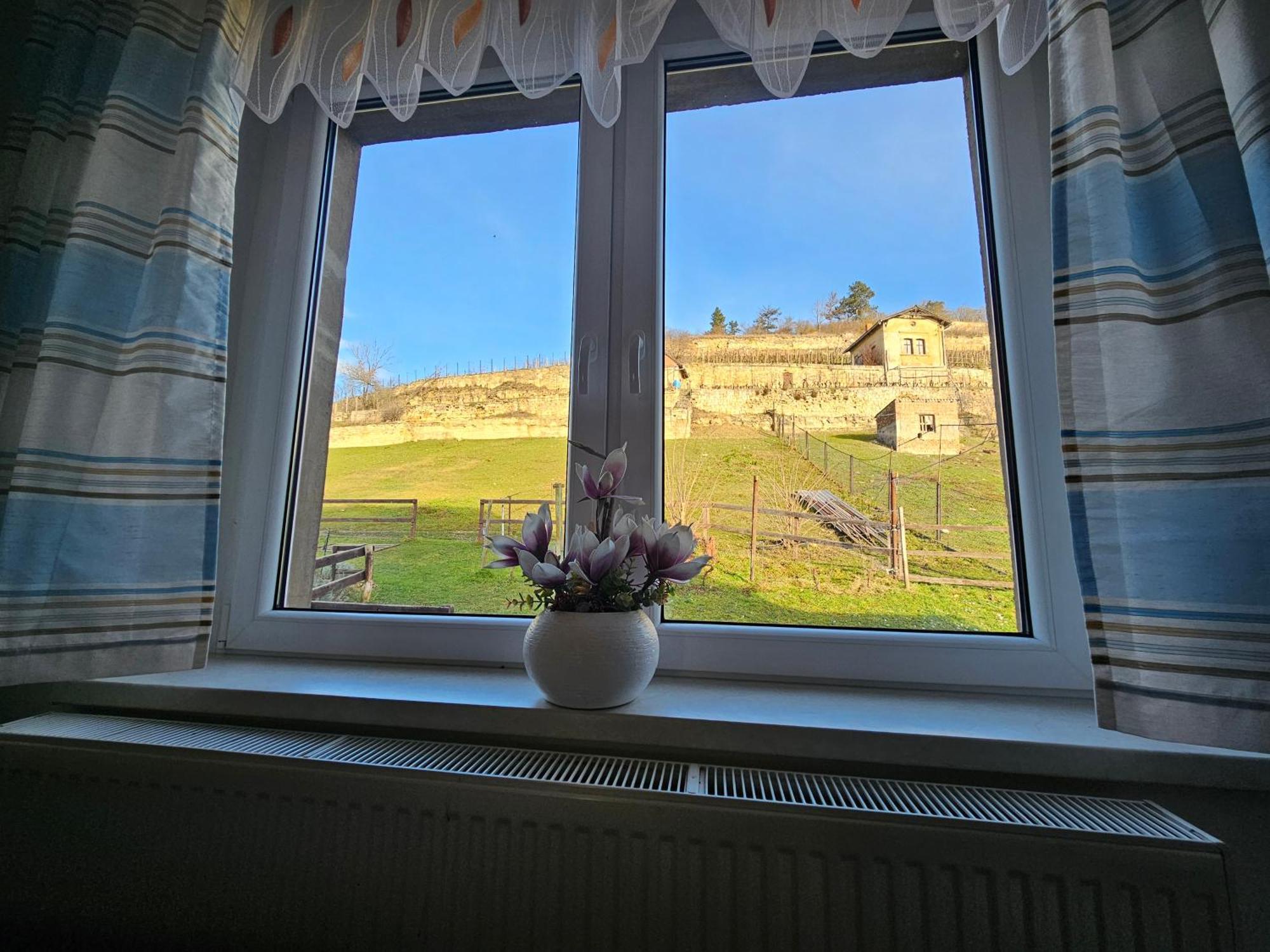 Ferienhaus Und Strausswirtschaft Im Weinberg Freyburg Luaran gambar